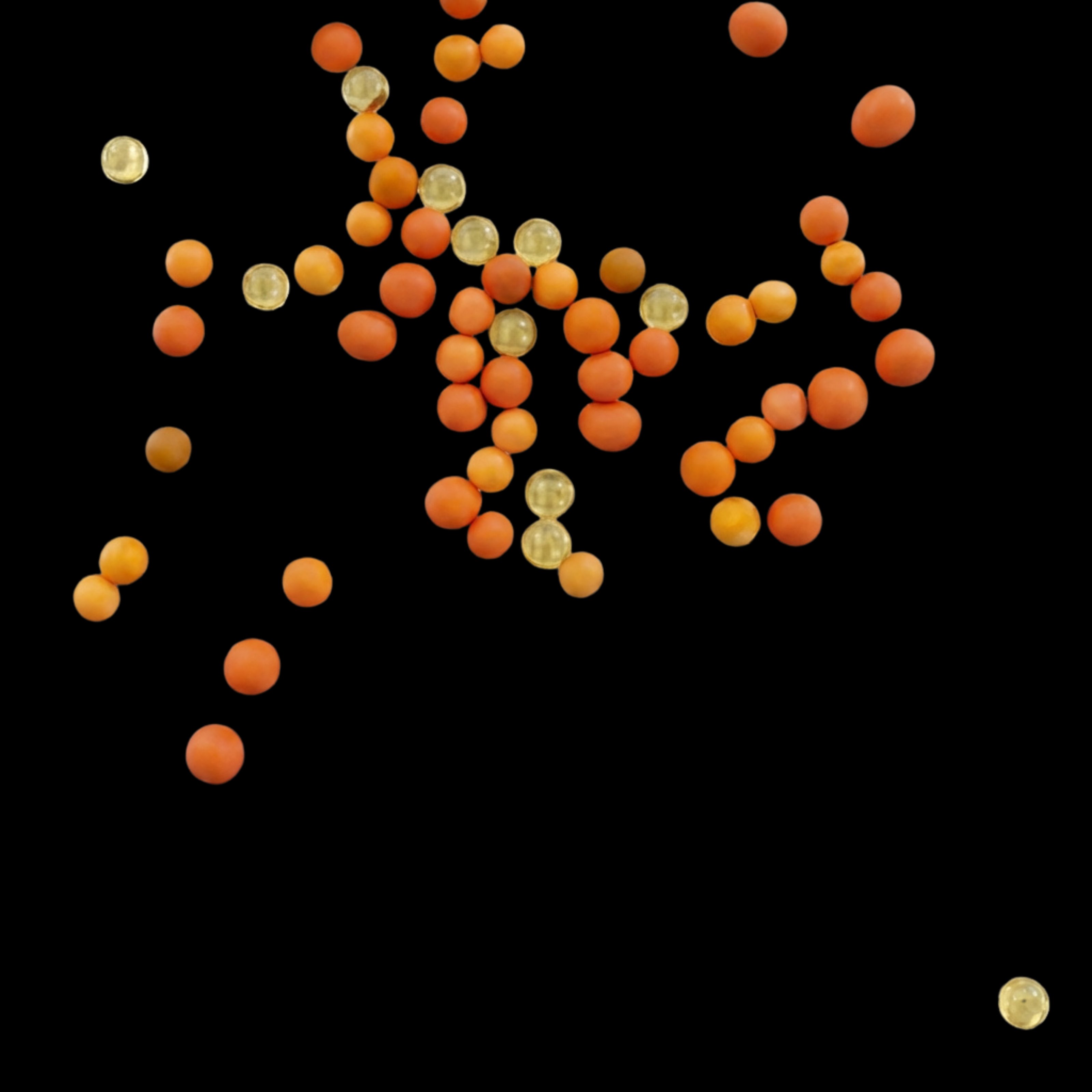 Coated Beads in der Makroaufnahme